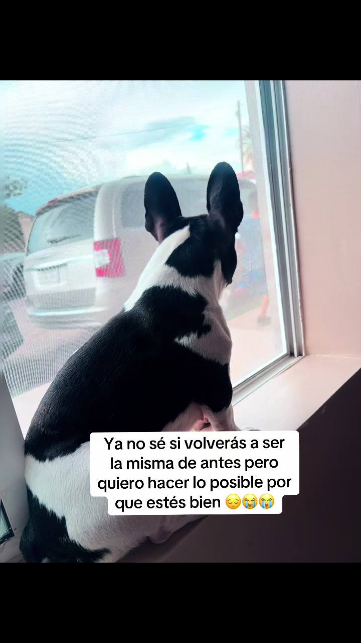 @Evelin Pay&aacute;n