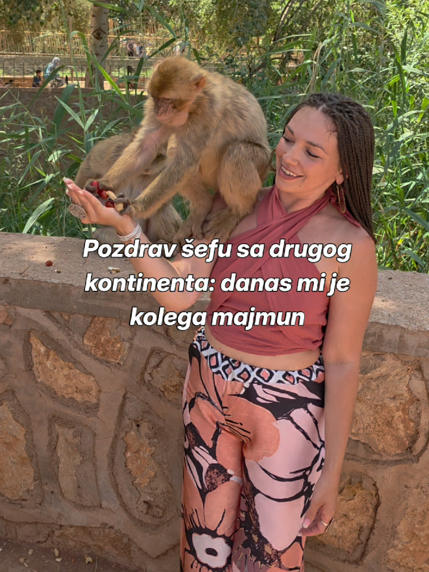 @Sanja | Wellness & Business
