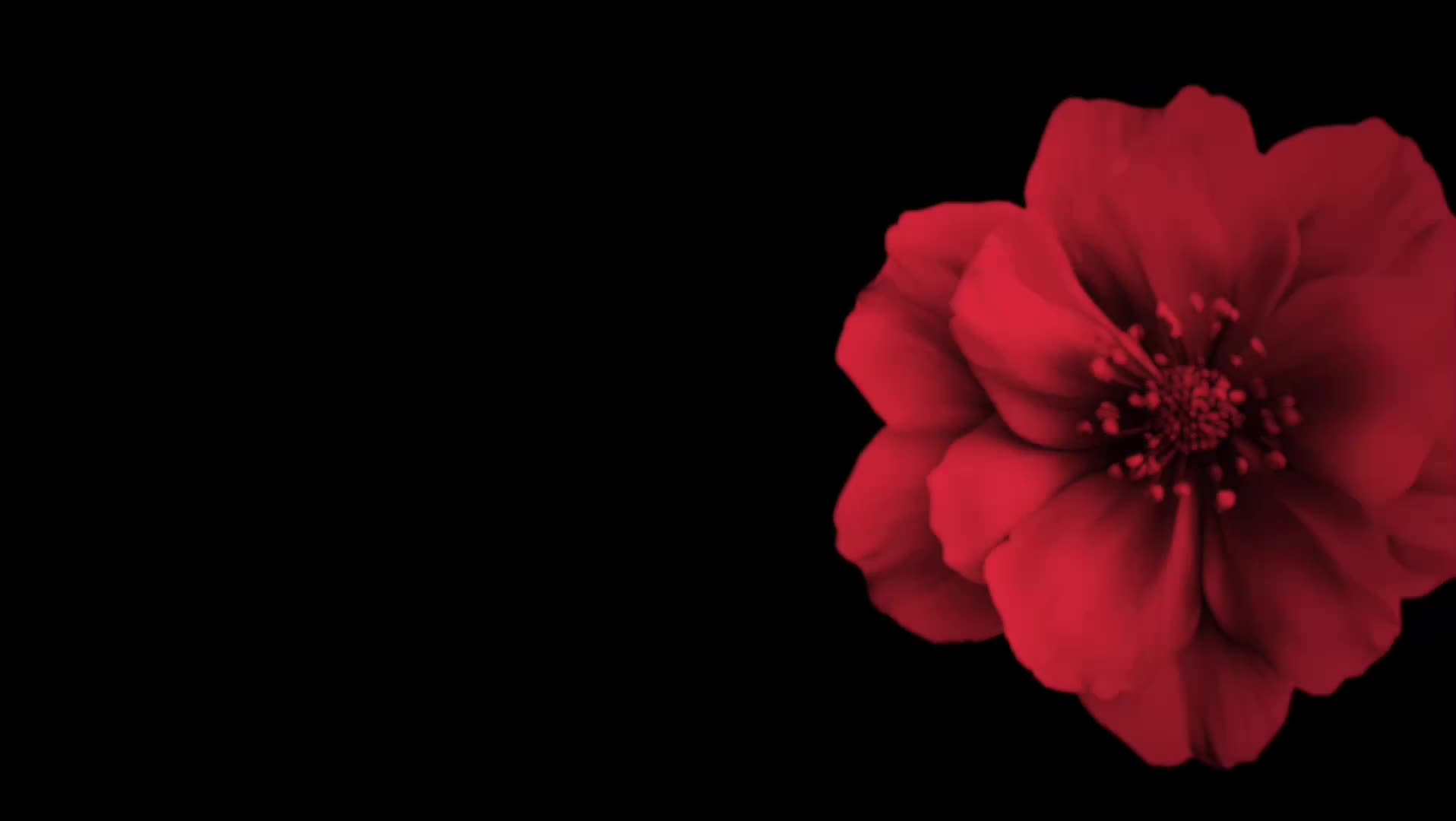 @𝐒𝐏𝐄𝐄𝐃 𝐋𝐘𝐑𝐈𝐂𝐒