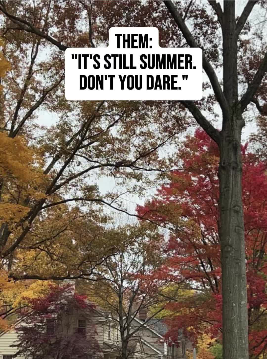 @🫶🏼𝕂𝕚𝕂𝕚🫶🏼