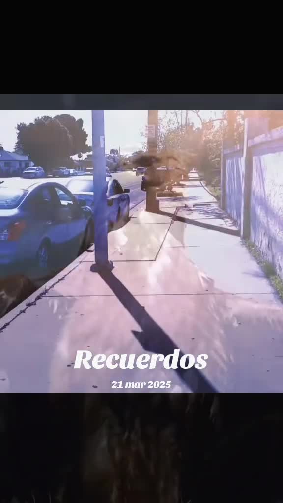 @Andres