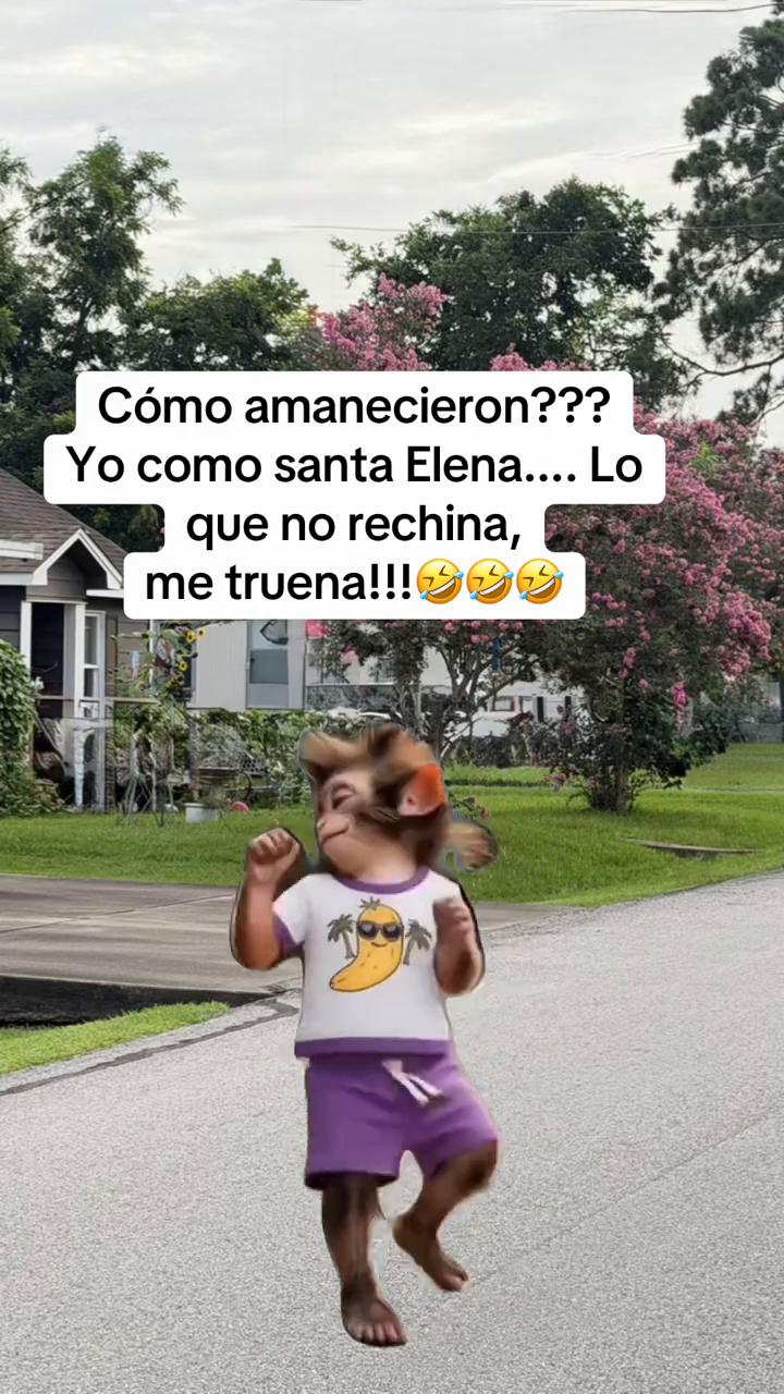 @Mencha -ropa mayorista