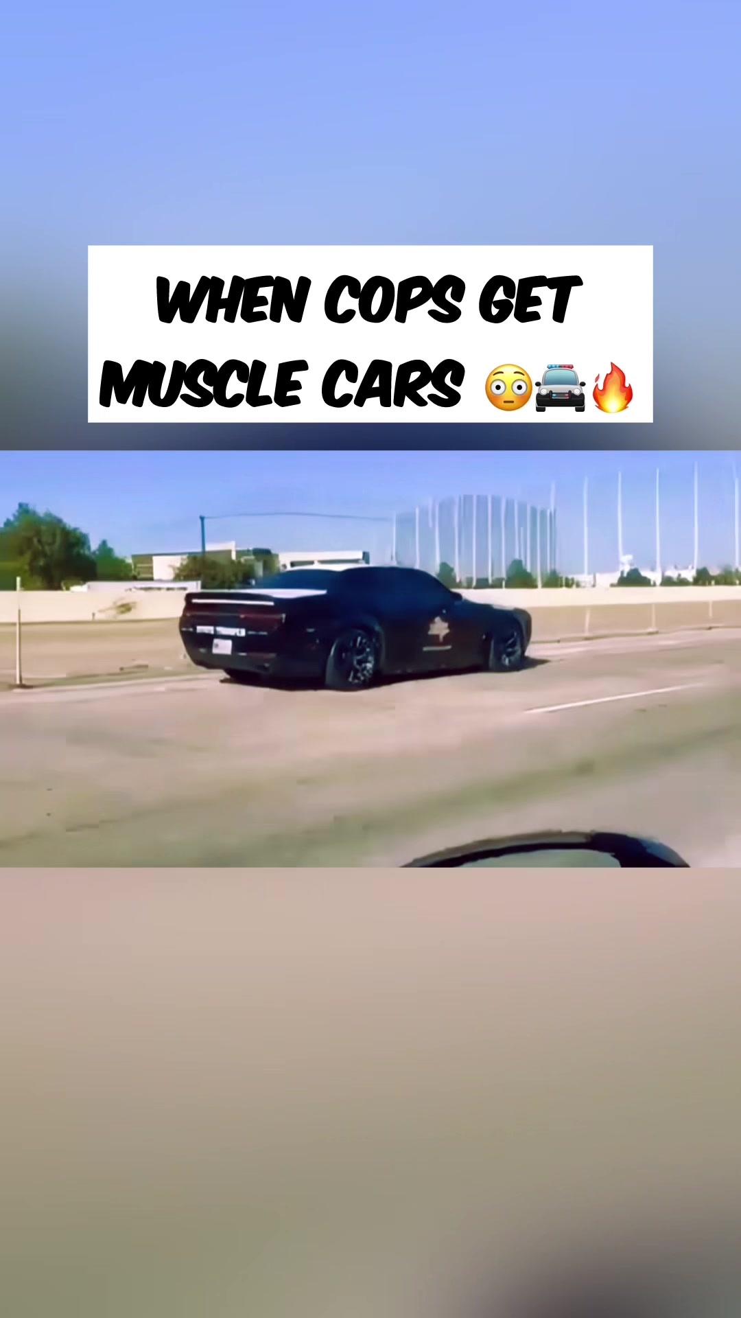 @Muscle Cars
