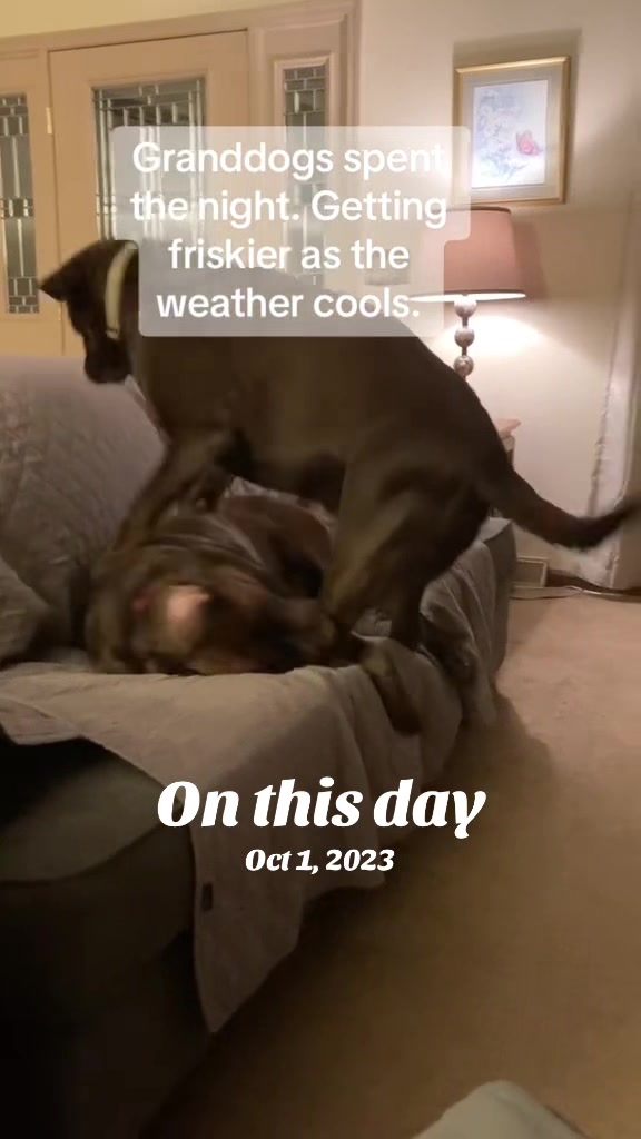 @Beyond Old__Bill77