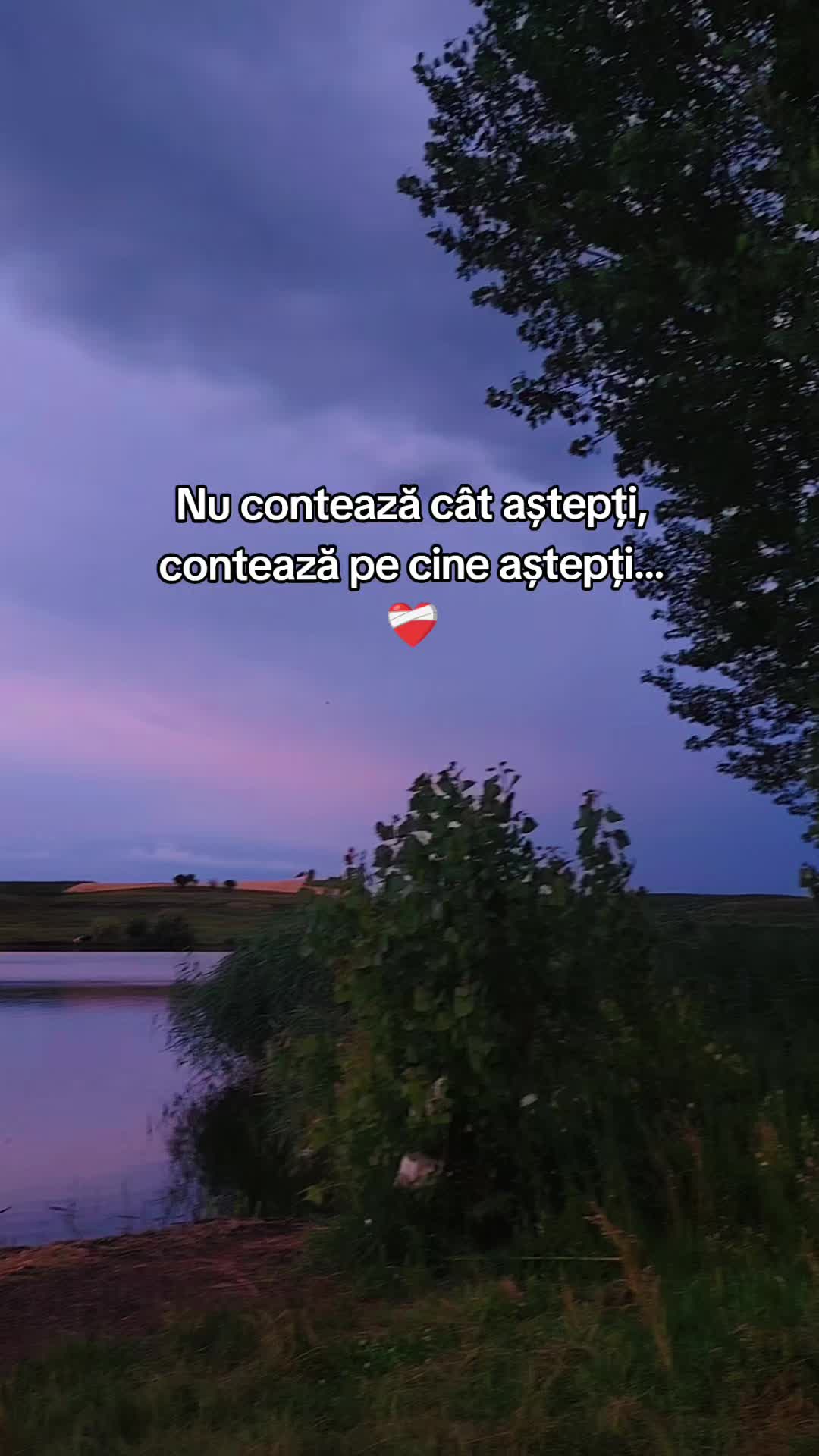 @12 ALM
