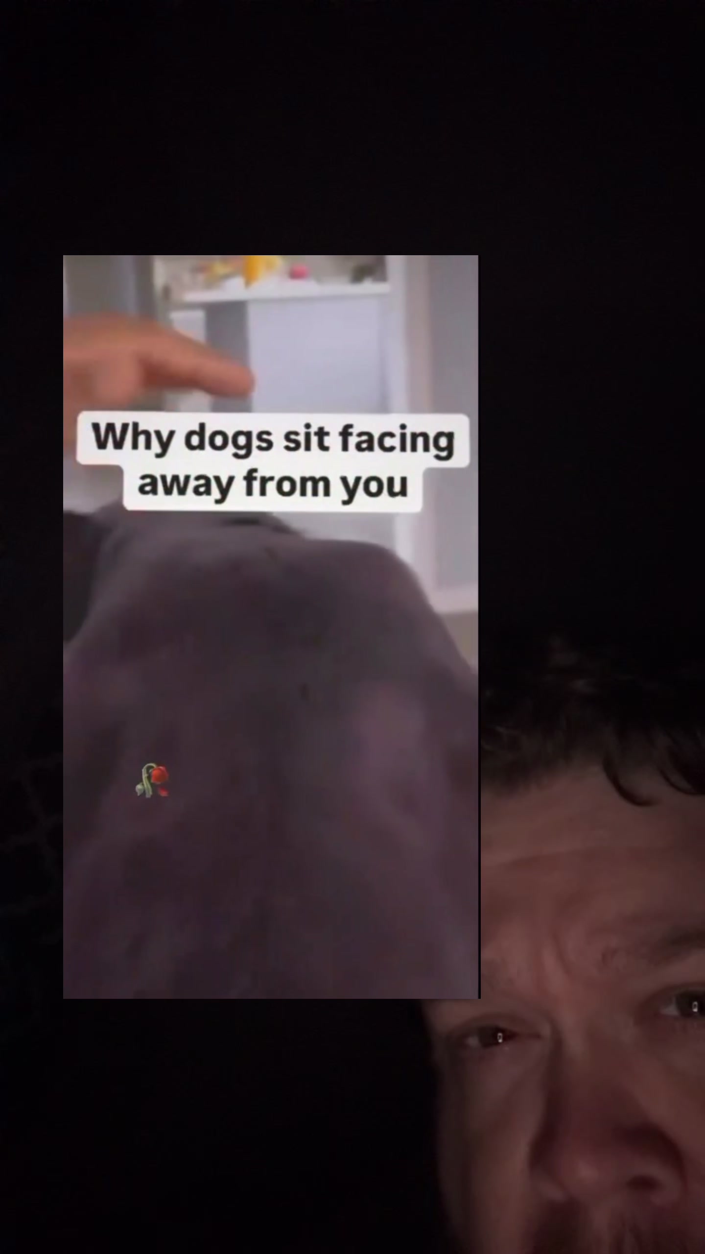 @Frenchtoastpapi