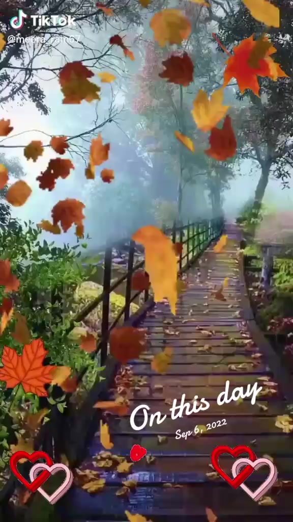 @🦋🦋🦋 susie 🦋🦋🦋