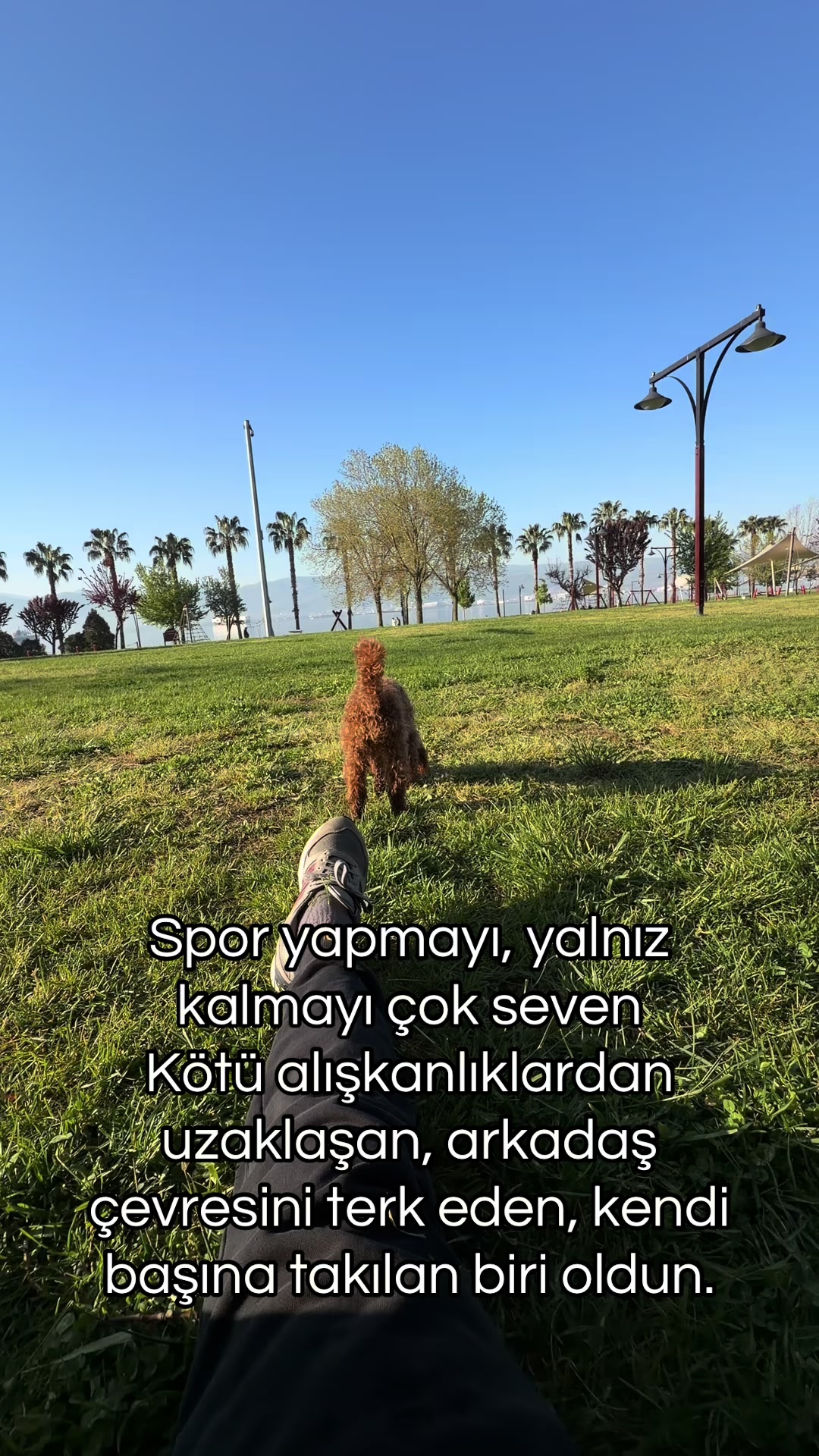 @Barış İspirli