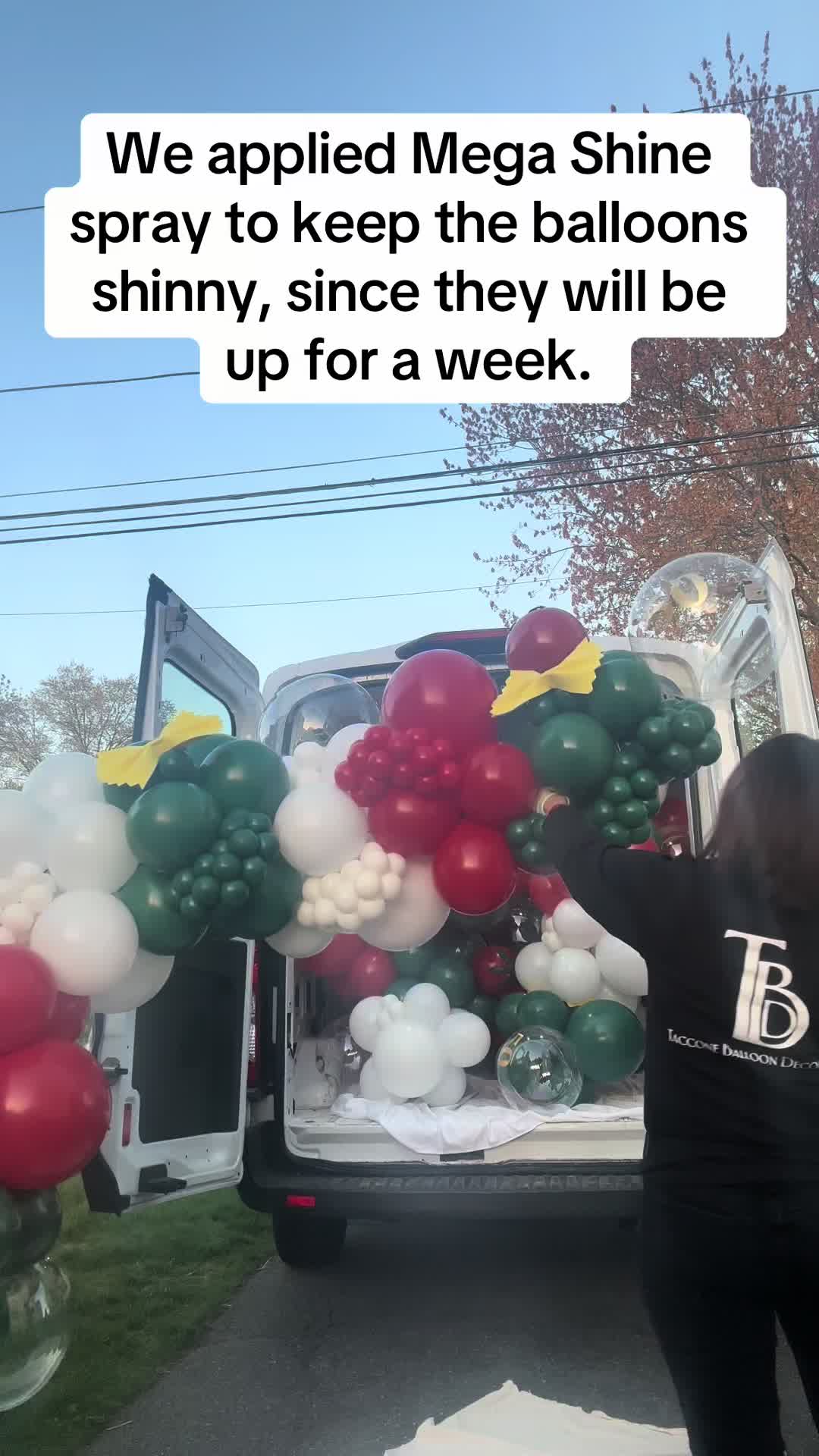 @tacconeballoondecorllc
