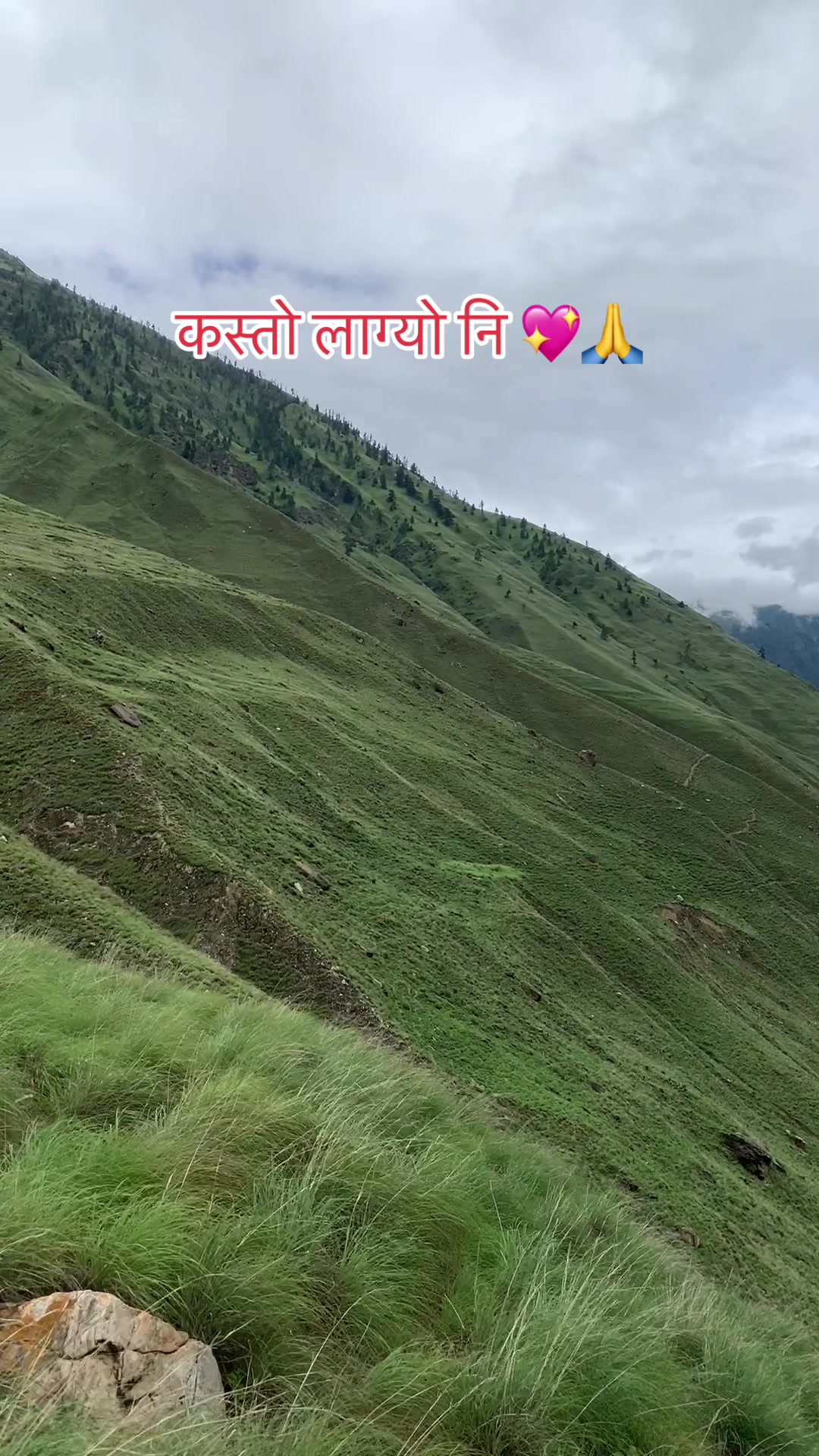 @Bharatsinghthakuree@800