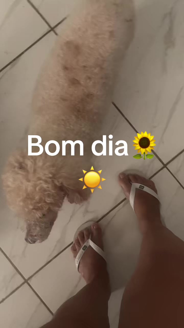 @fabiconsultora