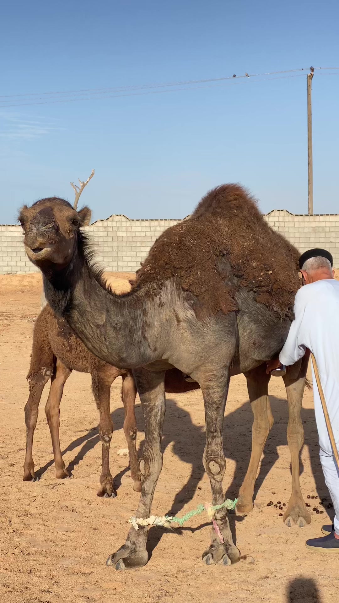 @الدروعي 🔥