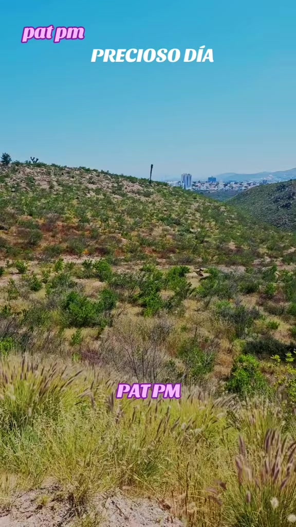 @PAT PM
