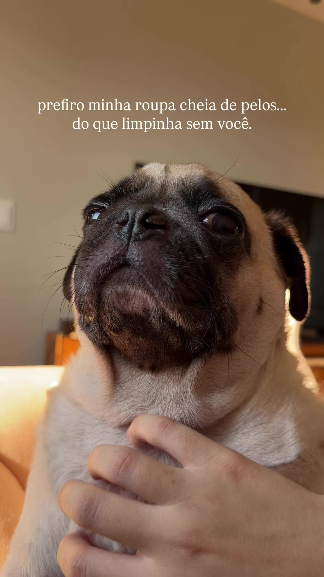 @FRANKINHO