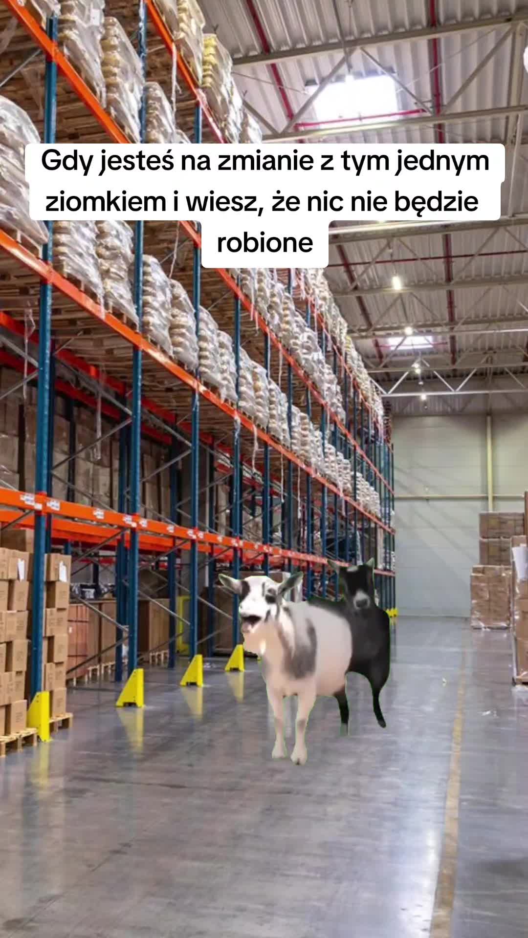 @𝐔𝐒𝐄𝐑