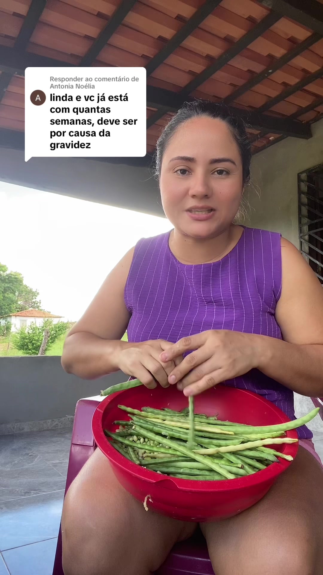 @cidabacellar2