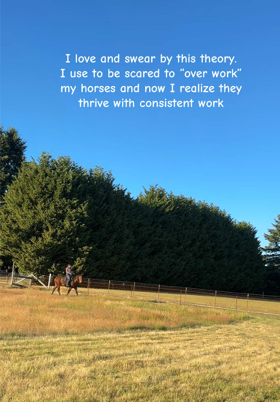 @SAMANTHA | BARREL RACING