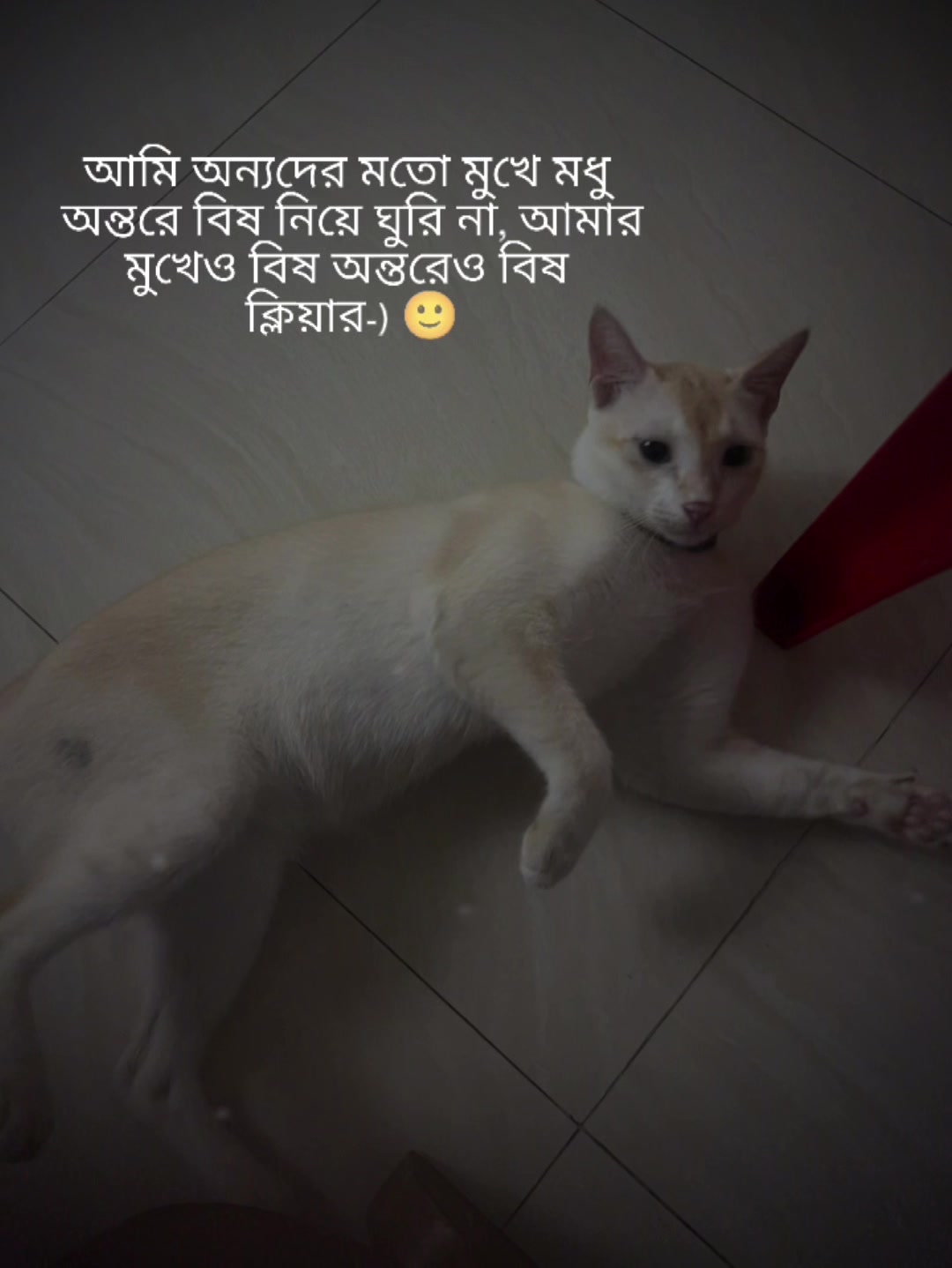 @Kanij hasan keya official