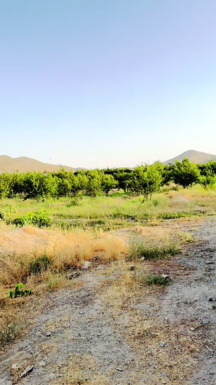 @umar achakzai 123