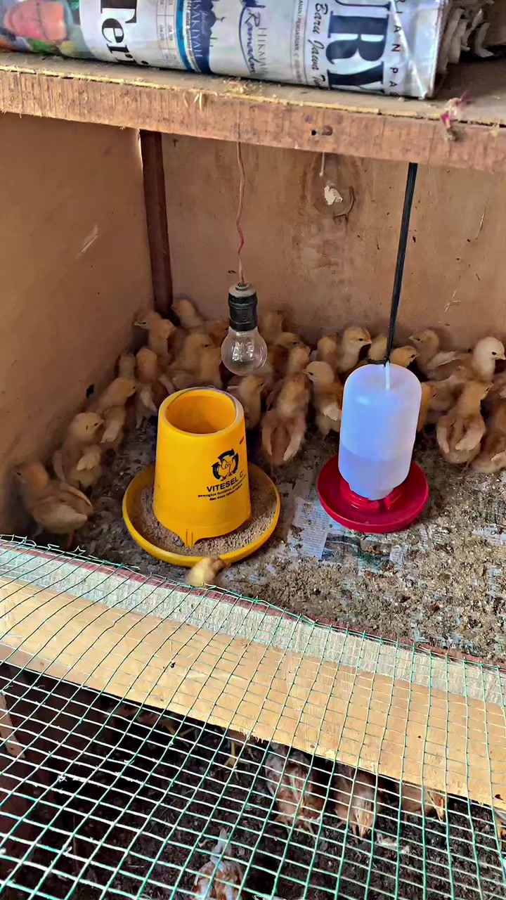 @Aprfarm