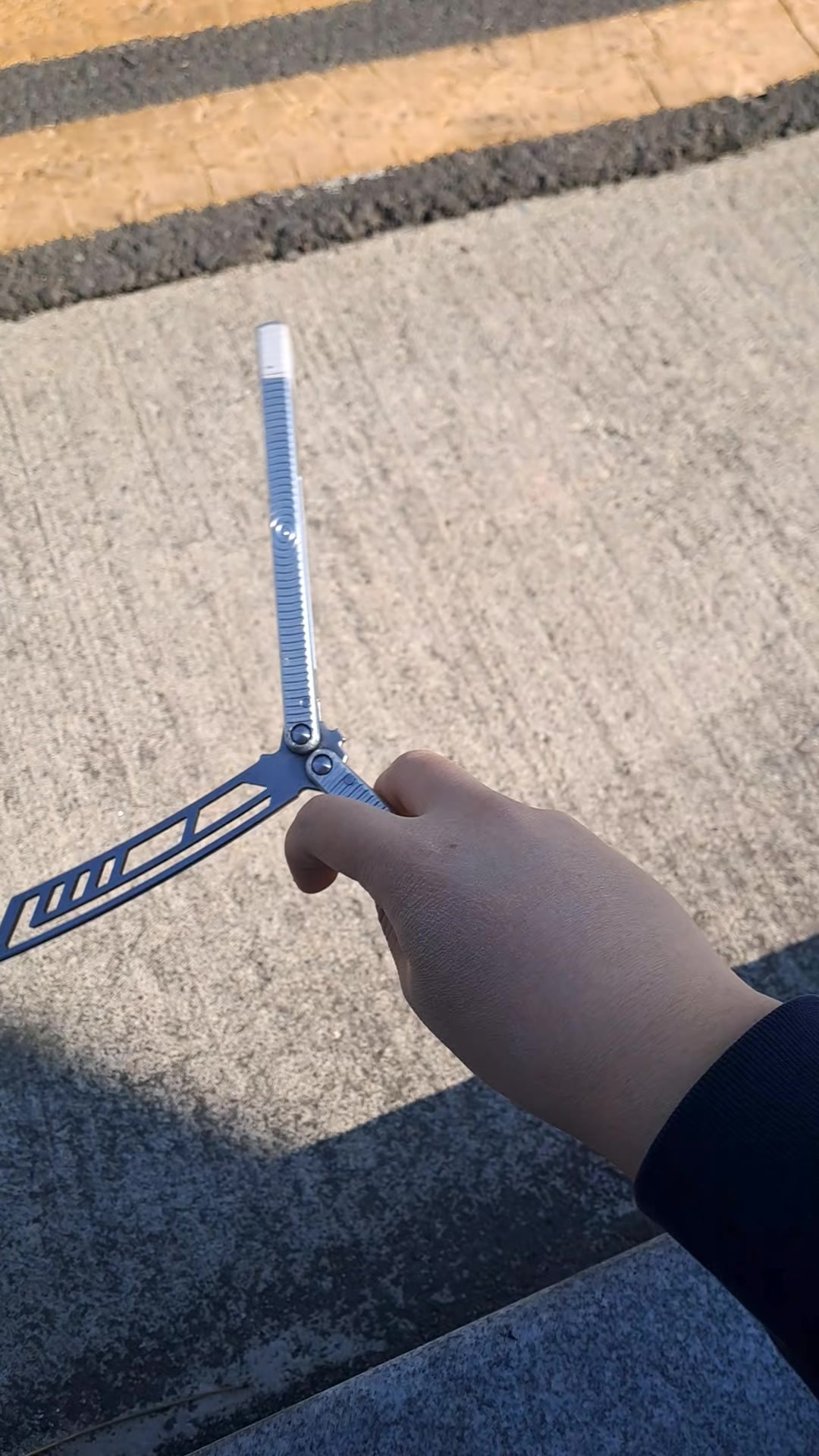 @쑥나무