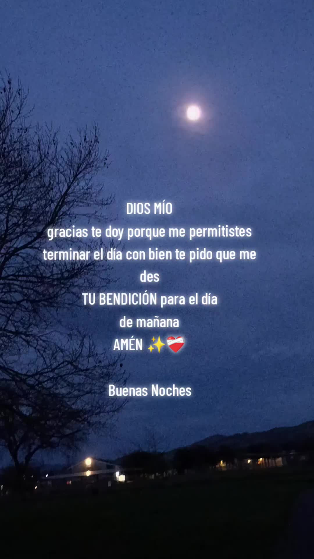 @✨💐ZuLeM@ G@RCiA💐✨