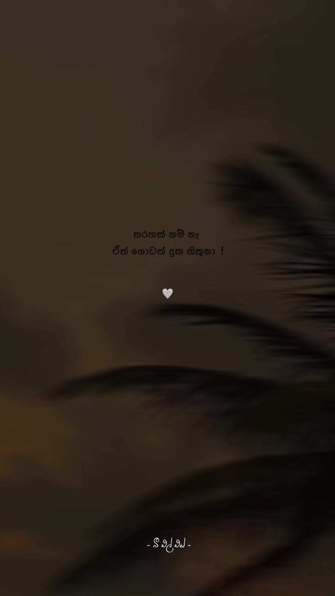 @𝒯𝒽𝑒 𝐵𝓁𝓈 ♡ !