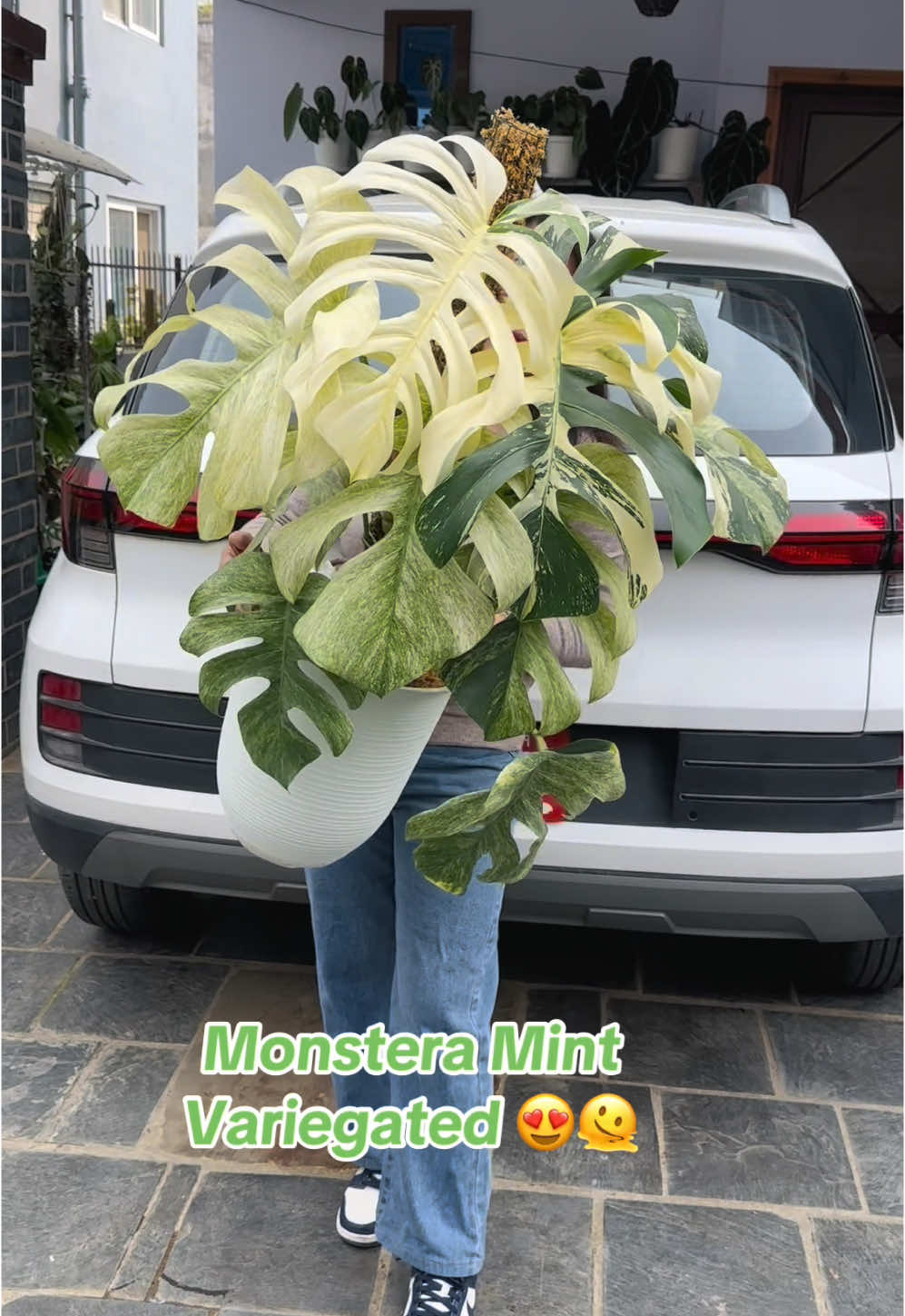 @Plantlife50