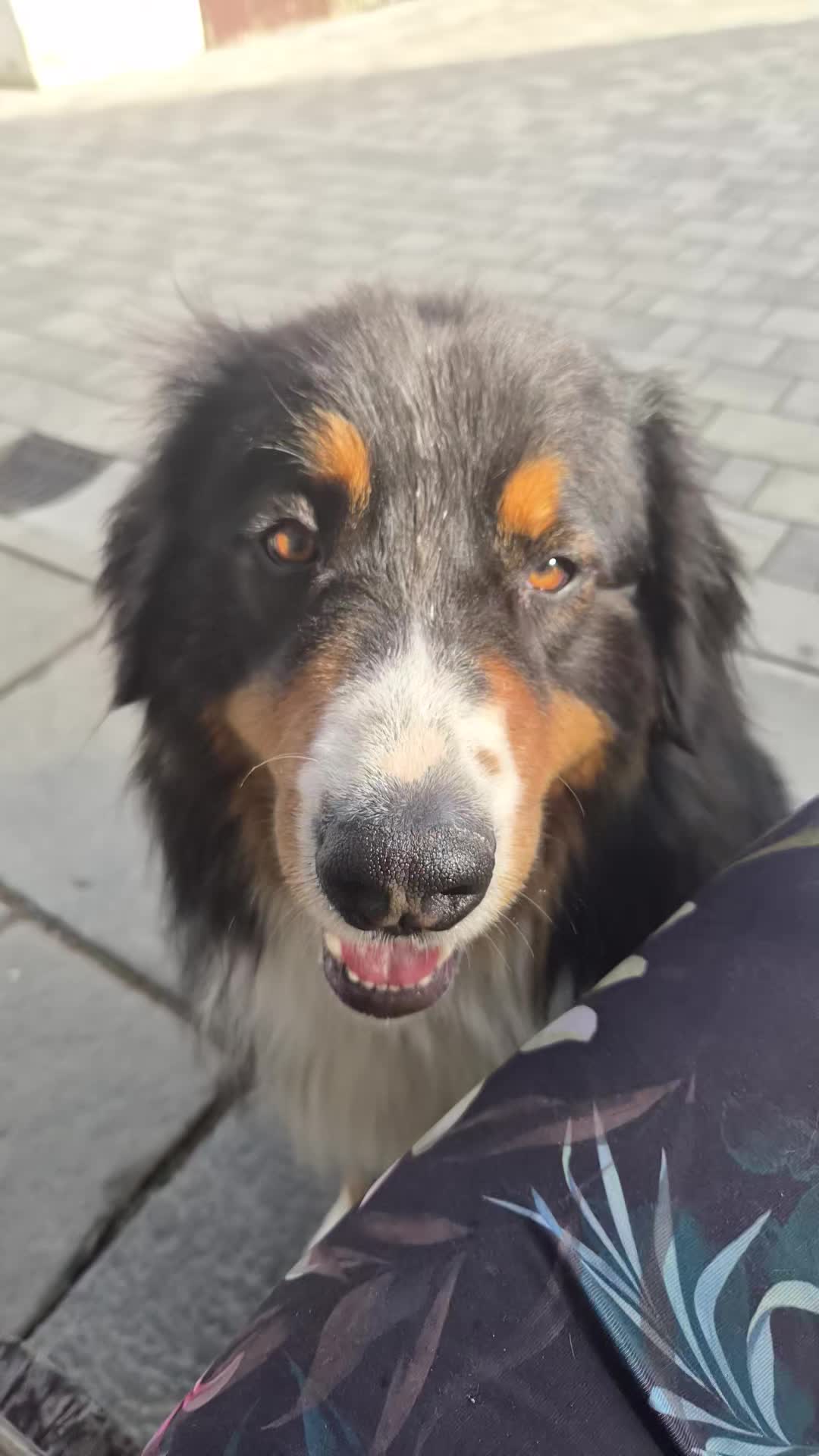 @berner.bruno