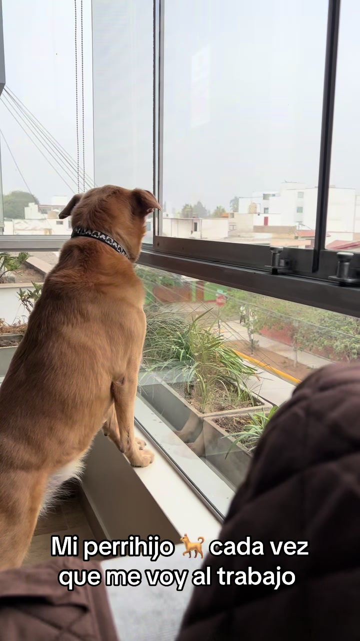 @Diario de Donny🐕 y mami👩🏻