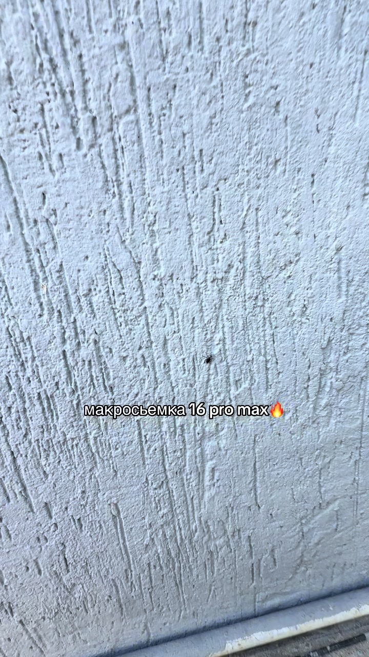 @gorilla_tech🇰🇿