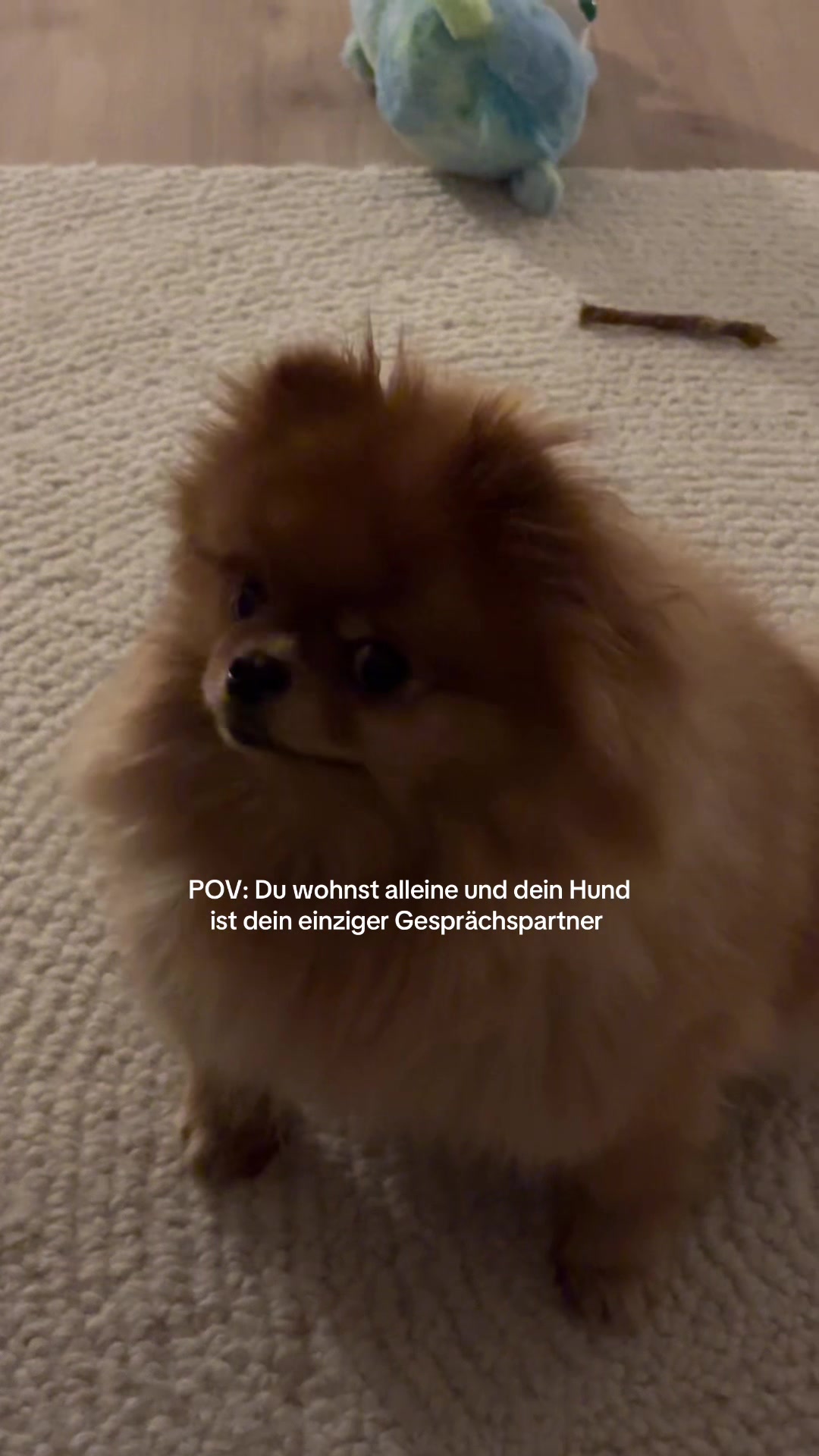 @agirlandherhoney