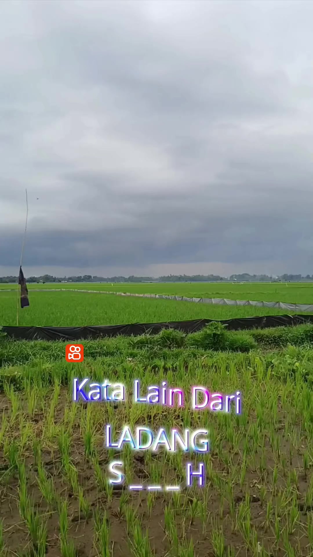 @Yayan c Wijaya