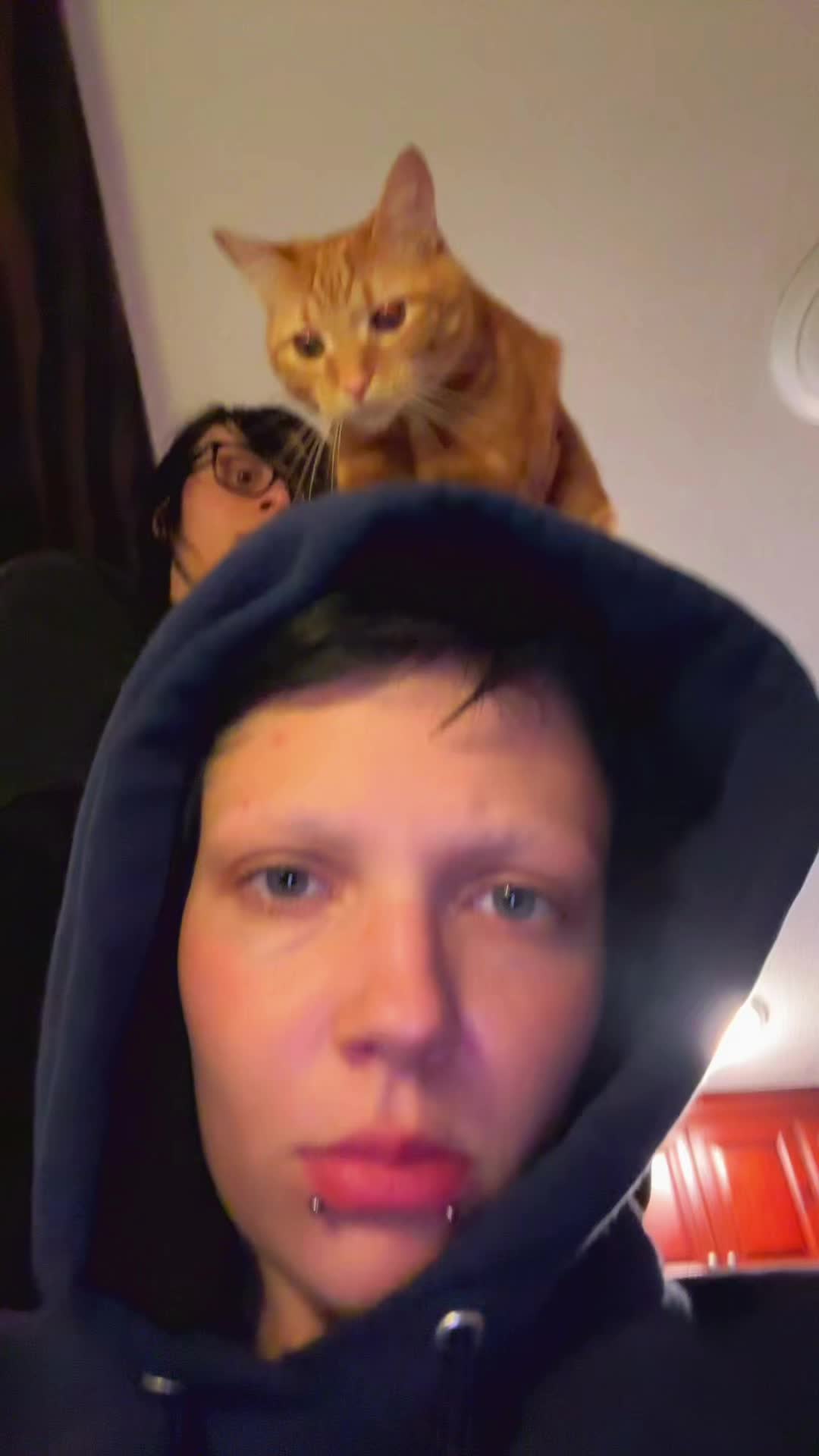 @Meow