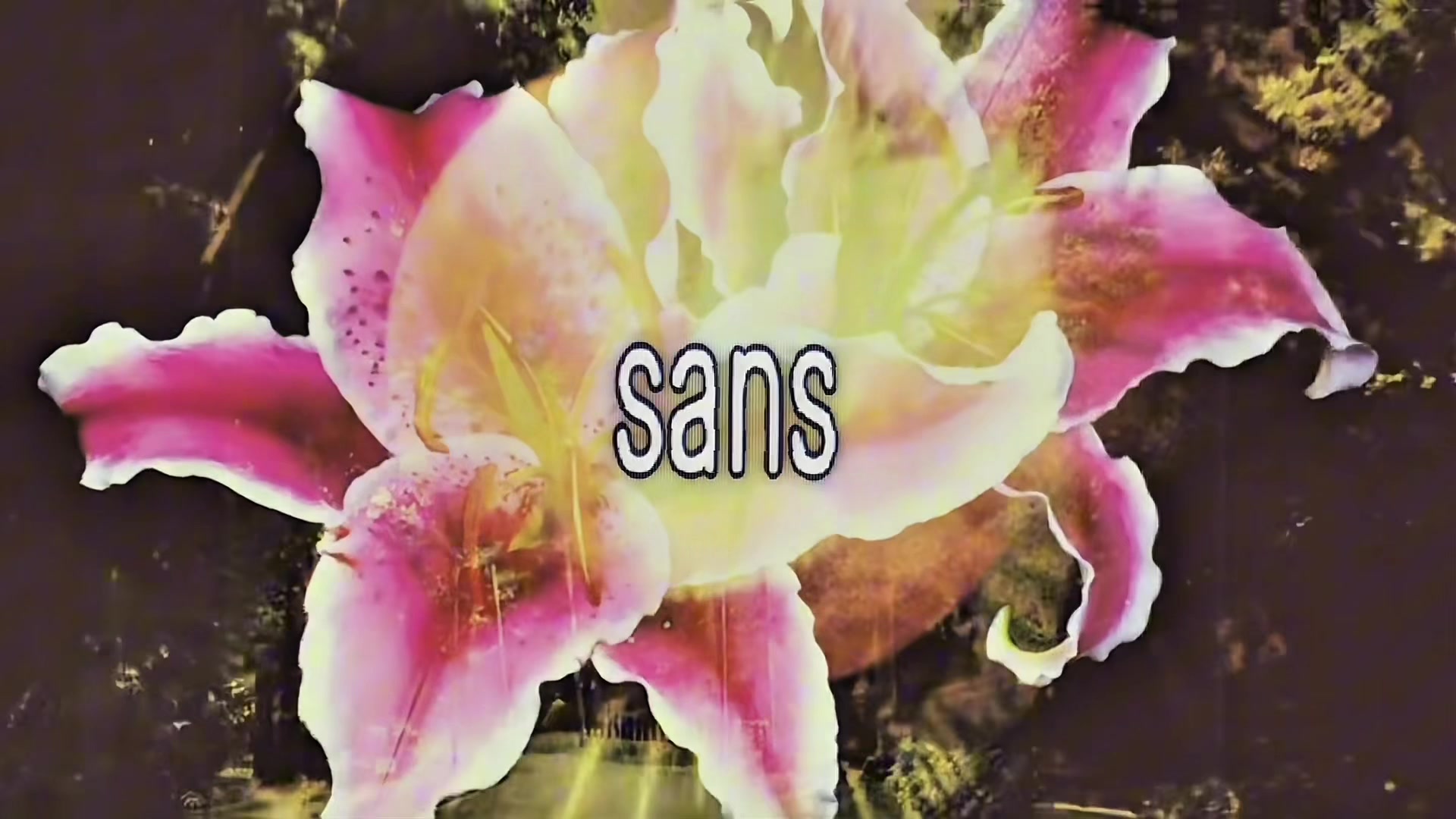 @✰ .ᐟ