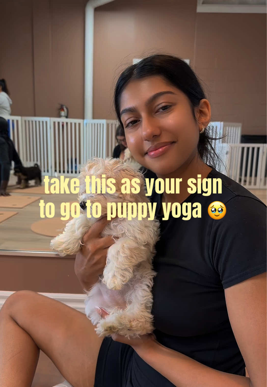 @ari