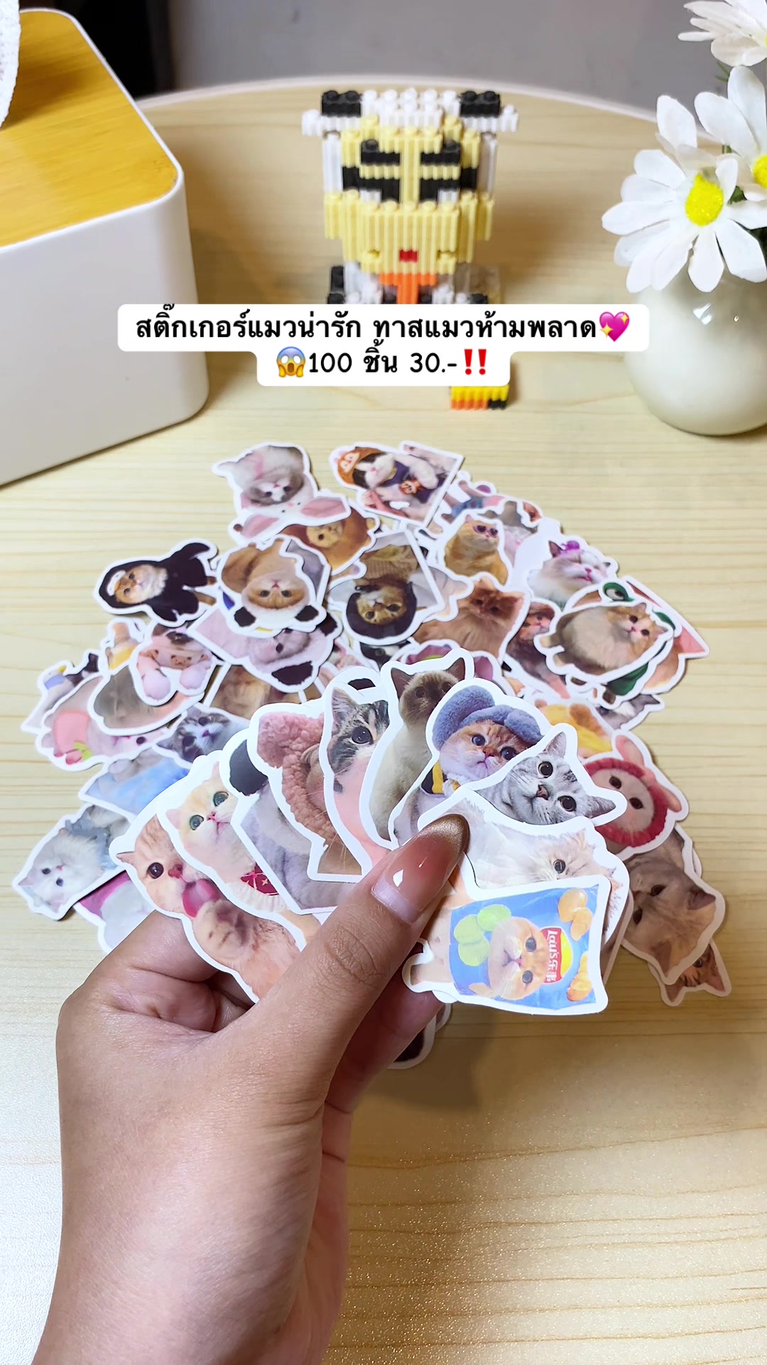 @˚⋆𐙚 June⋆𖦹.˚🧺🎀
