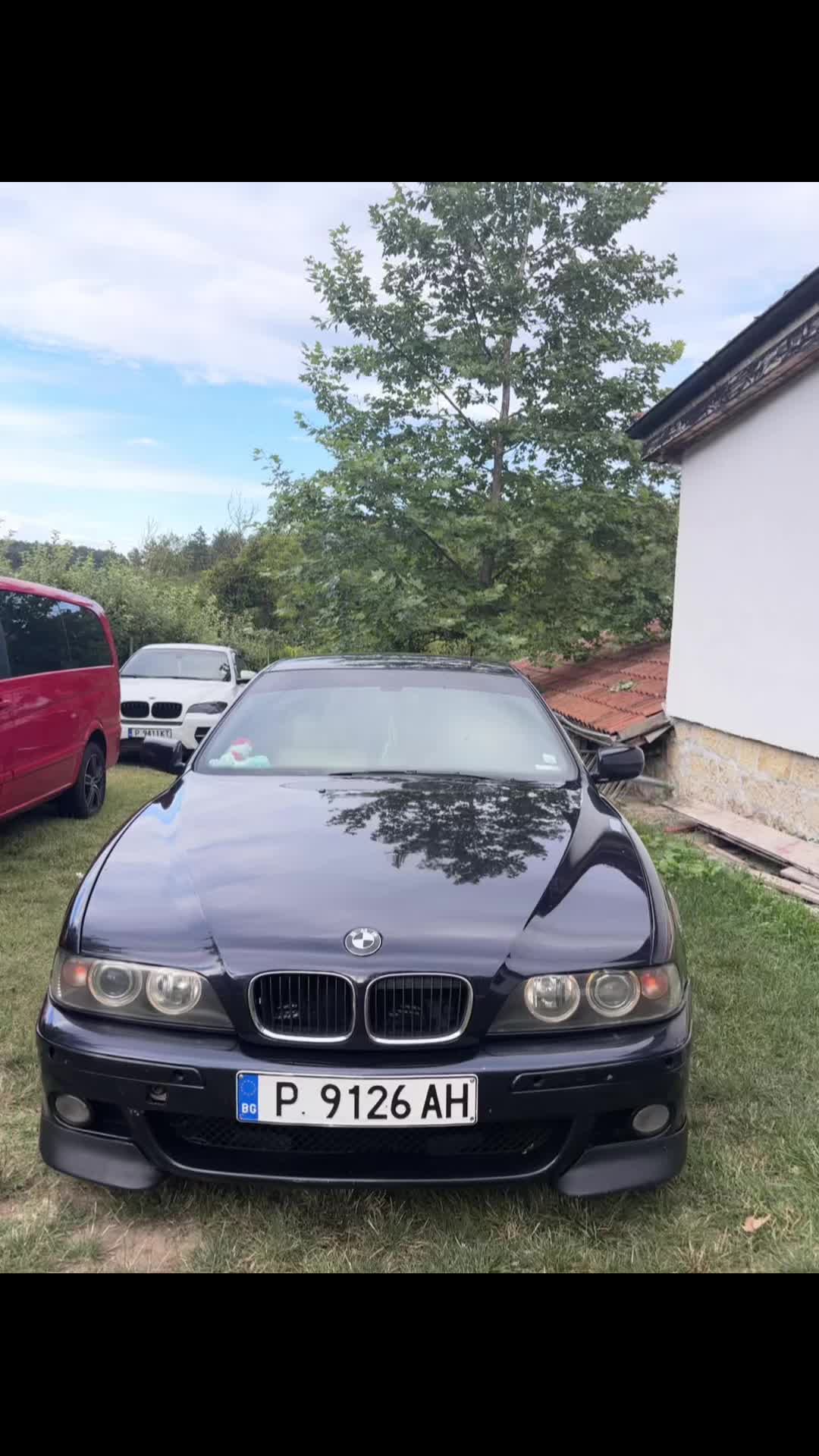 @n.mollov.e39