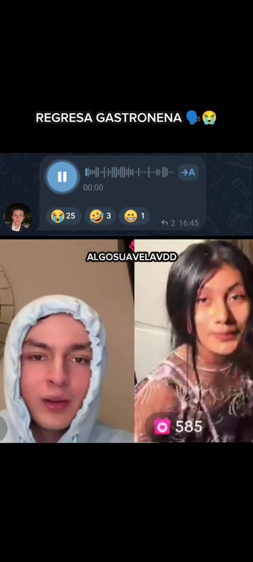 @ALGOSUAVELAVDD 🐿️