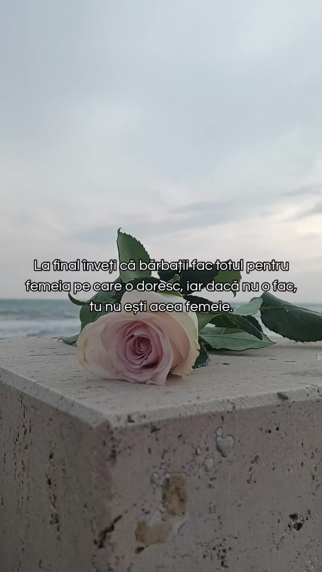 @la_distanta💖