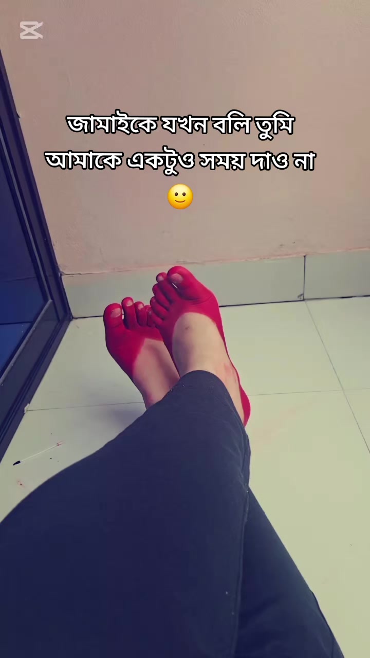 @🤲😺ঈমানদারী বিলাই 😺🤲