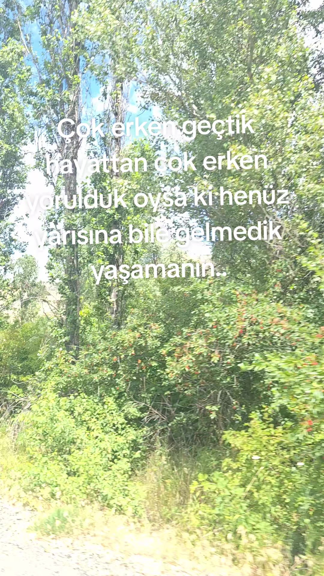 @sevda5834