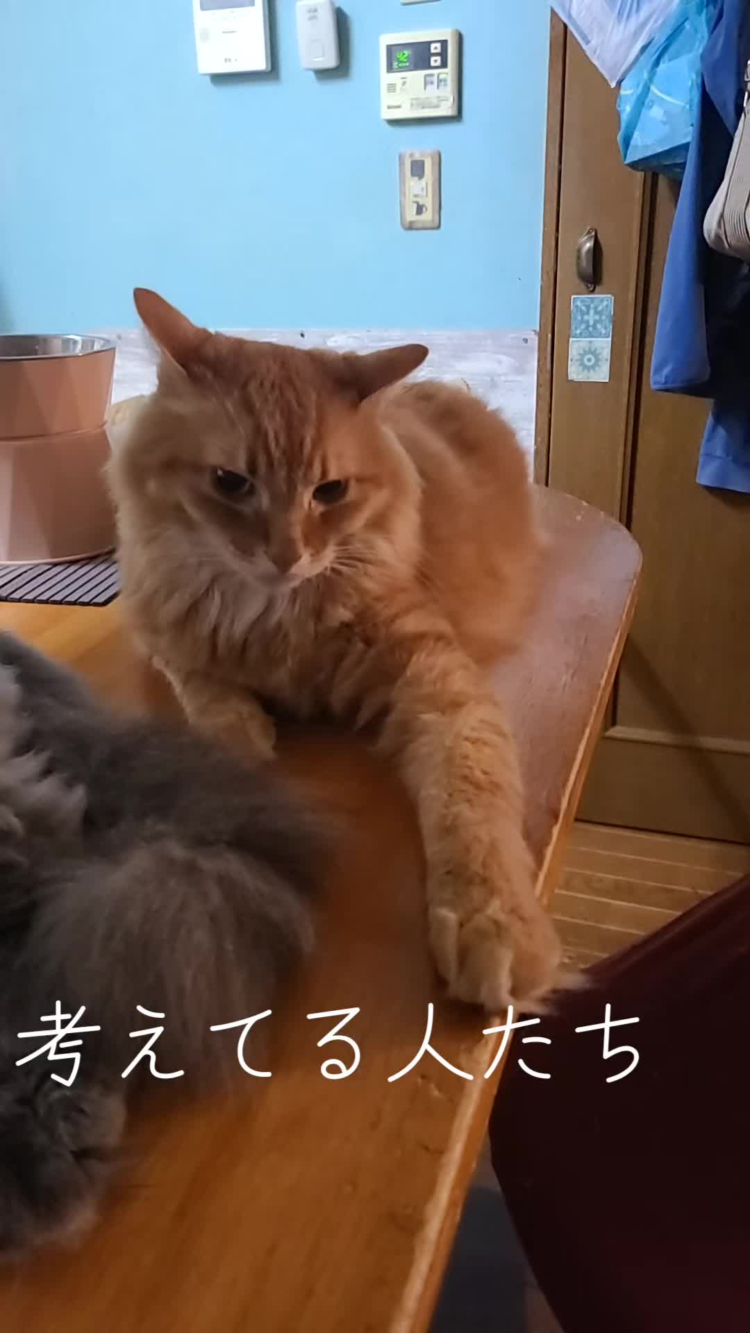 @沙亜代