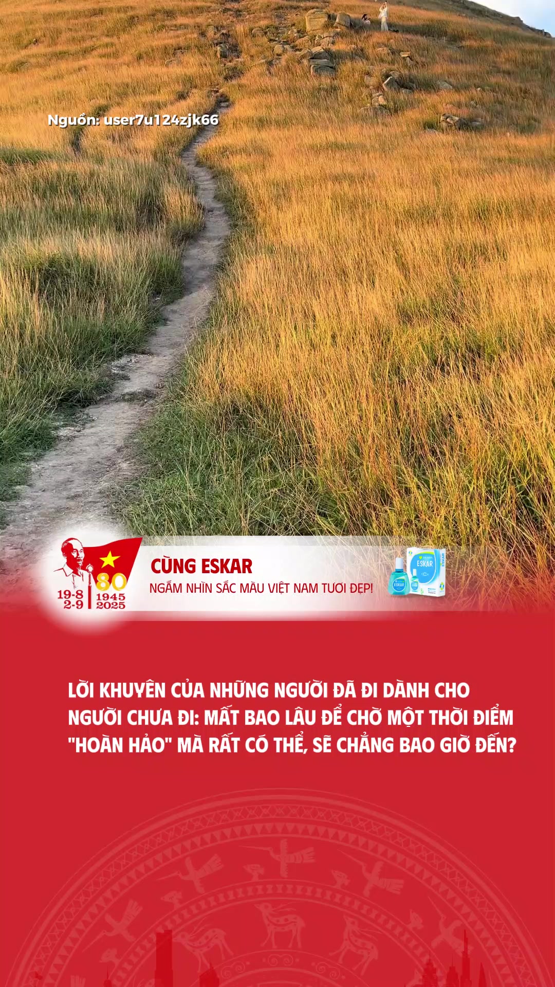 @Sắc Màu Việt Nam