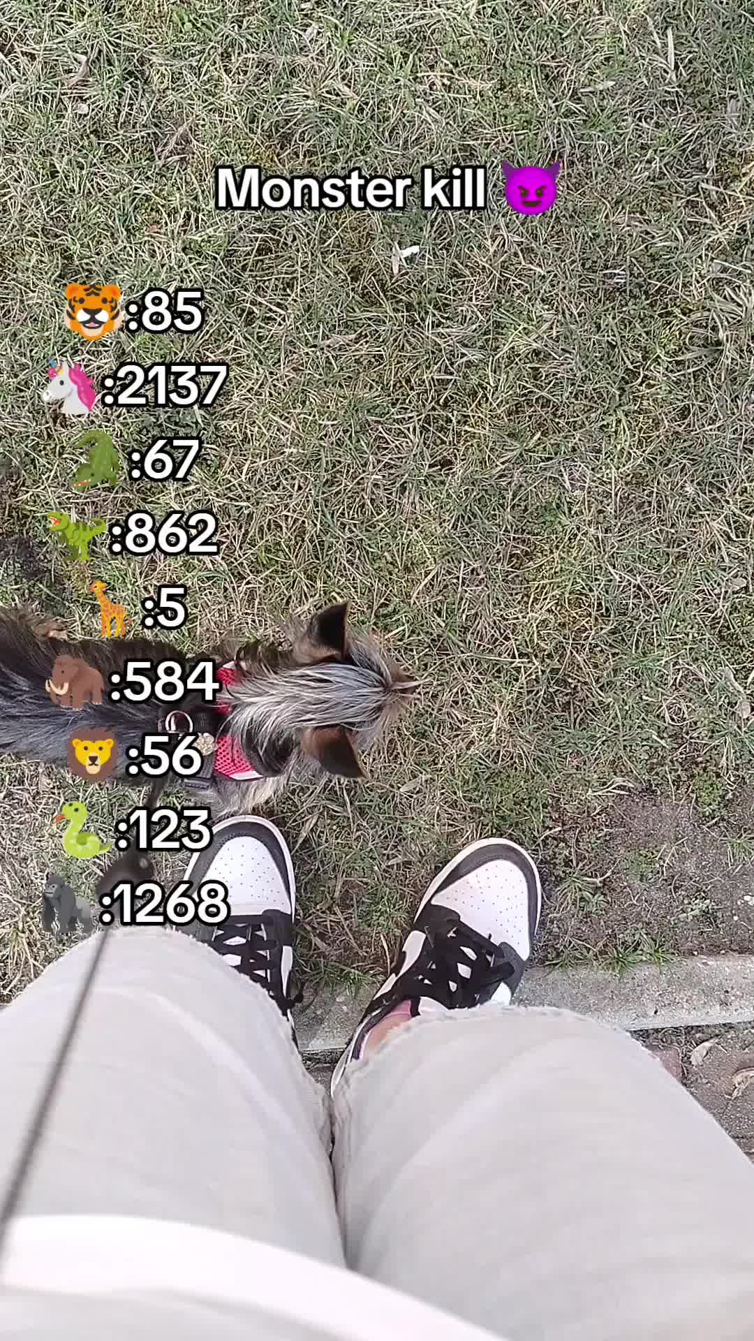 @๐๐๐๐๐๐๐๐โ๐๐๐