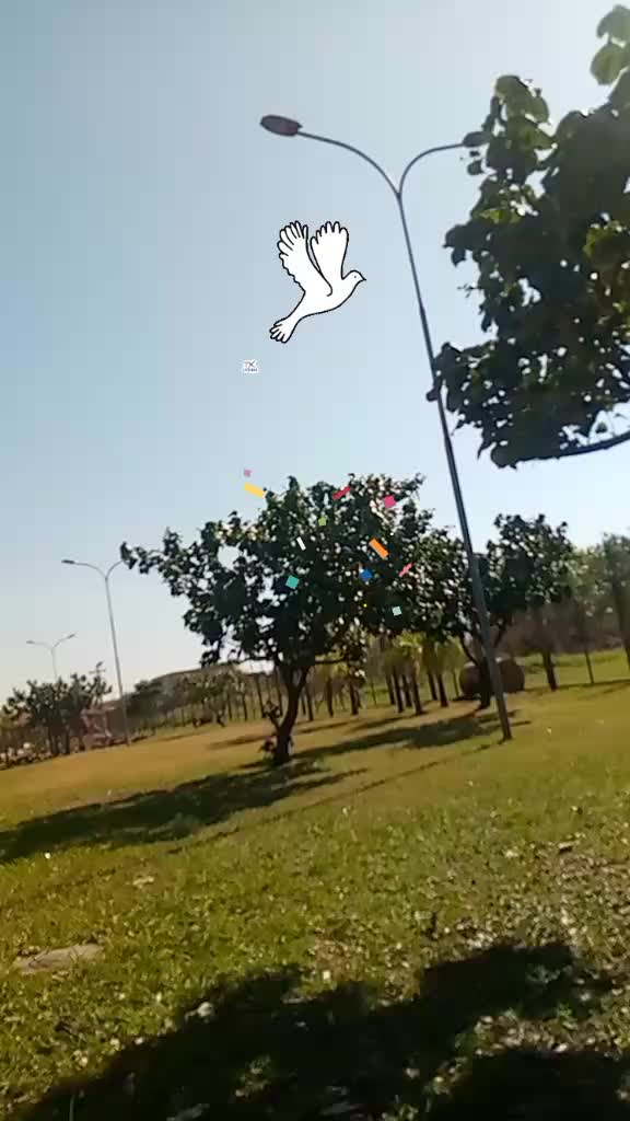 @castillo@03