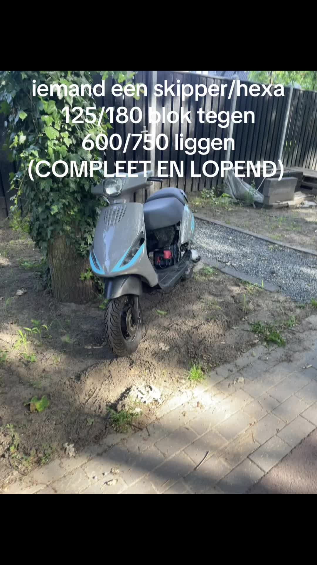 @d0318vr