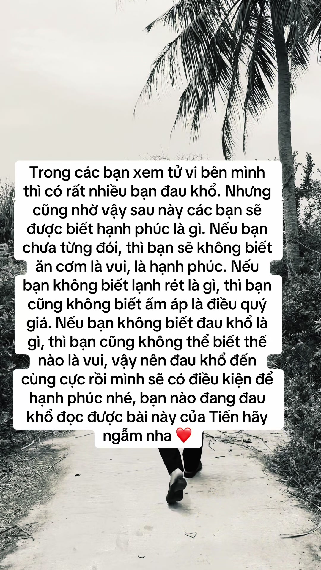 @Qu&ocirc;́c Ti&ecirc;́n ✅