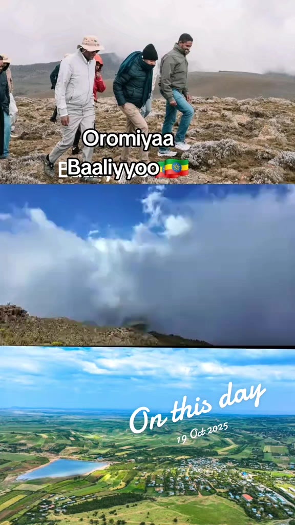 @Shimallis Abdisa Parody