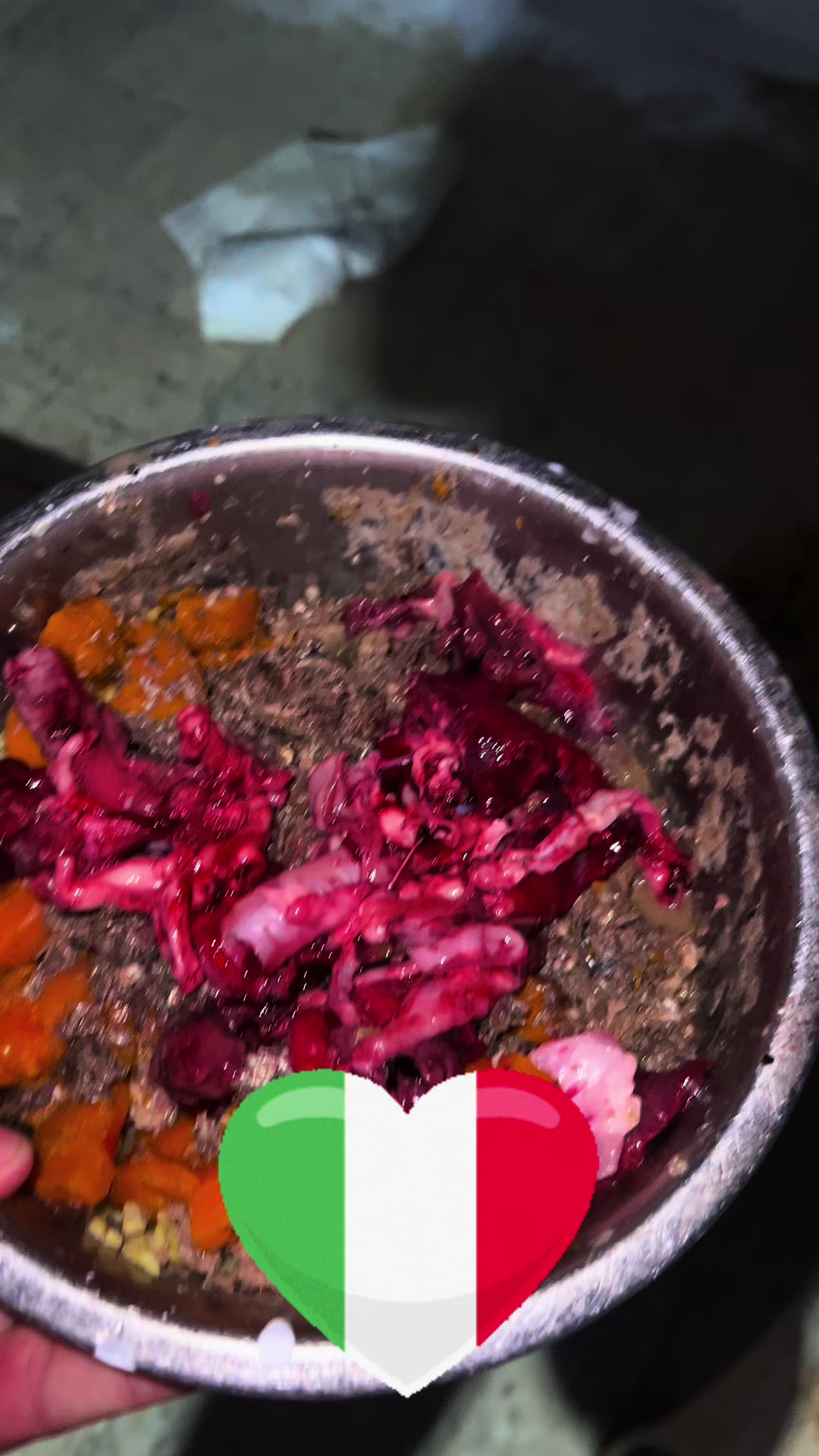 @عصابة كلاب الدوڨو&البيتبول🔥